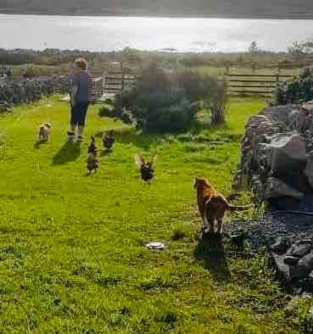 Appartamento Curlews Rest - Gateway To The Aran Islands Galway Esterno foto