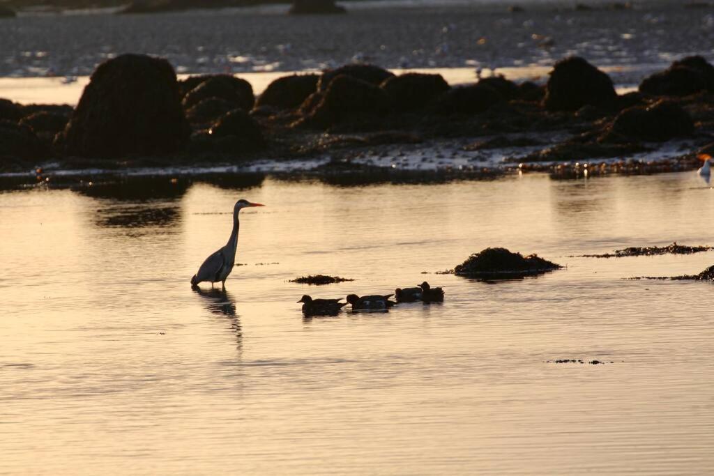 Appartamento Curlews Rest - Gateway To The Aran Islands Galway Esterno foto
